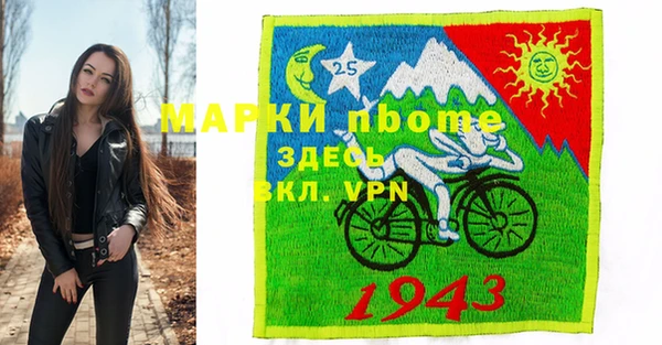 шишки Горняк